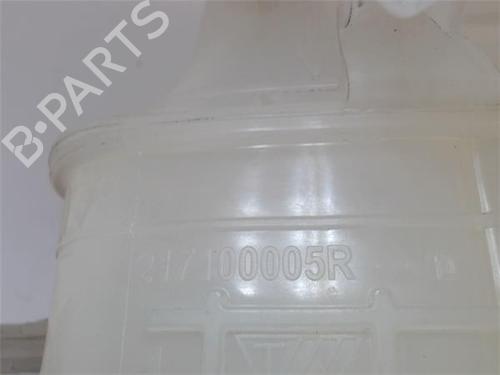 Other RENAULT SCÉNIC III (JZ0/1_) 1.2 TCe | BP16757685O1 