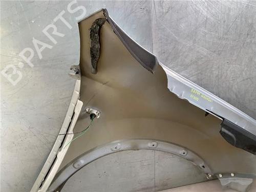 Left front fenders NISSAN QASHQAI / QASHQAI +2 I (J10, NJ10, JJ10E) 1.6 dCi | BP22632483C41 