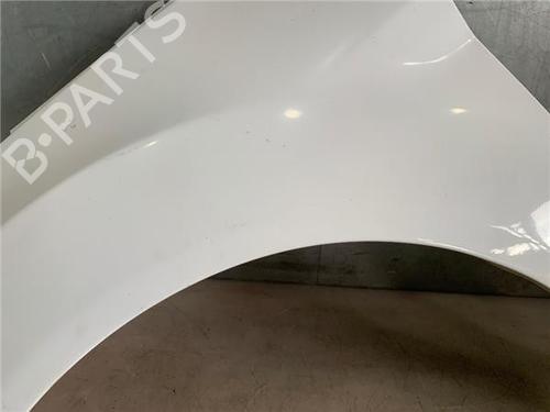 Left front fenders FORD FIESTA VI (CB1, CCN) 1.25 | BP20296391C41 