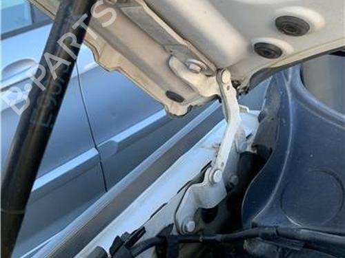 Hinge/Door check strap BMW 3 (E90) 330 d | BP32418668C146 