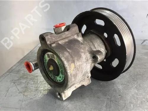 Styring servopumpe VW NEW BEETLE (9C1, 1C1) 1.9 TDI | BP9696156M99 