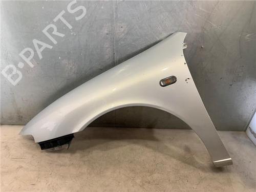 Used Left front fenders SEAT TOLEDO II (1M2) 1.9 TDI (110 hp) 22633212