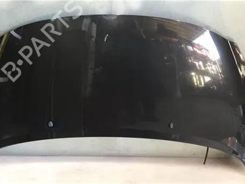 Used Hood PEUGEOT 207 (WA_, WC_) [2006-2015]  9683752