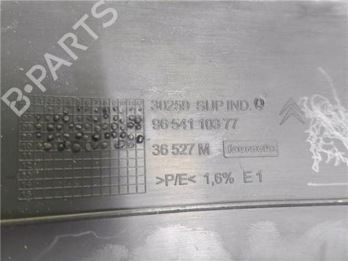 Other CITROËN C4 Picasso I MPV (UD_)  | BP31130744O1 