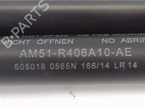 Tailgate lift support FORD C-MAX II (DXA/CB7, DXA/CEU)  | BP29259865C138 