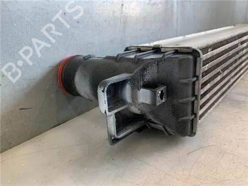 Intercooler CHEVROLET CAPTIVA (C100, C140)  | BP26445921M30 