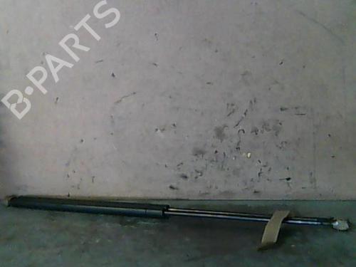 Used Hood lift support PEUGEOT 306 (7B, N3, N5) [1993-2003]  14334151