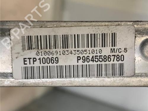 Køler PEUGEOT 307 (3A/C) 1.6 HDi | BP16295490M31 