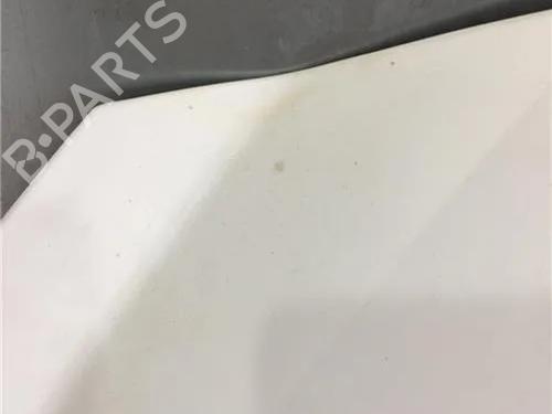 Hood PEUGEOT 206+ (2L_, 2M_)  | BP10010267C1