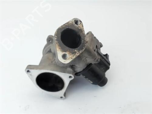 Egr SEAT IBIZA IV (6J5, 6P1)  | BP13304855M69 