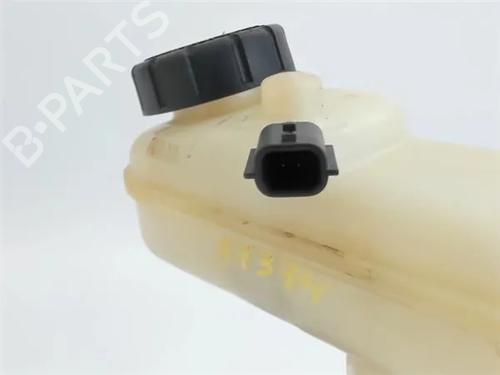 Brake master cylinder RENAULT TWINGO II (CN0_) 1.2 (CN0D) | BP10723267M77 
