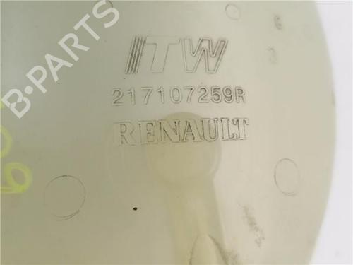 Other DACIA DOKKER Box Body/MPV 1.5 dCi 75 / Blue dCi 75 (FEJW, FEAH) | BP30182973O1 