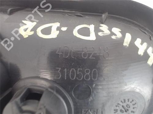 Front right interior door handle RENAULT CLIO III (BR0/1, CR0/1)  | BP18332505I14 