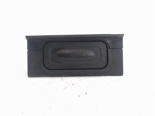 Used Tailgate handle RENAULT CLIO III (BR0/1, CR0/1) [2005-2014]  17240081