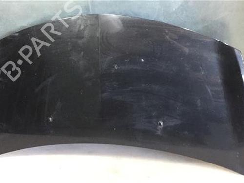 Used Hood RENAULT CLIO III (BR0/1, CR0/1) [2005-2014]  9685691