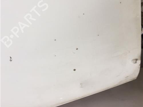 Right front door NISSAN CABSTAR E (TL_, VL_)  | BP11362942C3 