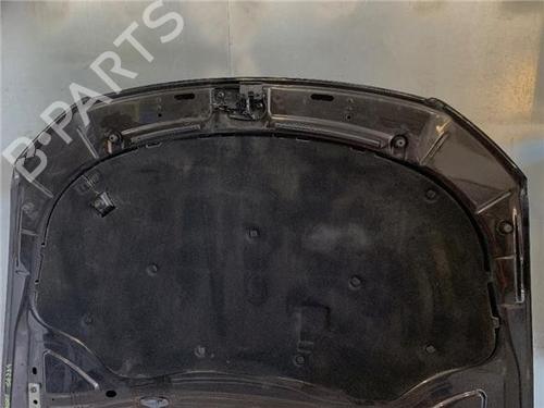 Hood VW PASSAT B6 (3C2) 2.0 TDI 16V | BP13414280C1 