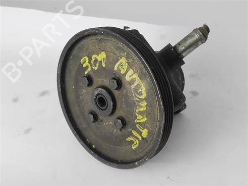 Used Steering pump PEUGEOT 309 II (3C, 3A) [1989-1993]  29042761