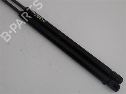 Tailgate lift support SEAT LEON (1M1) 1.6 16 V | BP15984978C138 