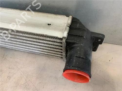 Intercooler CHEVROLET CAPTIVA (C100, C140)  | BP26445921M30 