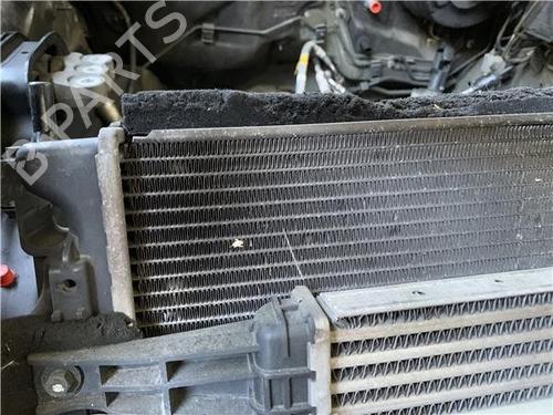 Water radiator OPEL ANTARA A (L07) 2.2 CDTi | BP29134830M31