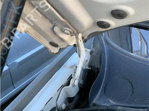 Hinge/Door check strap BMW 3 (E90) 330 d | BP32418668C146 