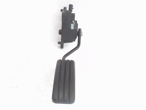 Pedal RENAULT CLIO III (BR0/1, CR0/1)  | BP17235737I4 