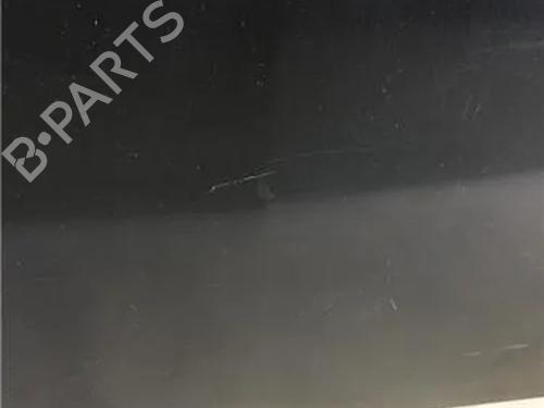 Hood RENAULT CLIO III (BR0/1, CR0/1) 1.4 16V | BP10004482C1 