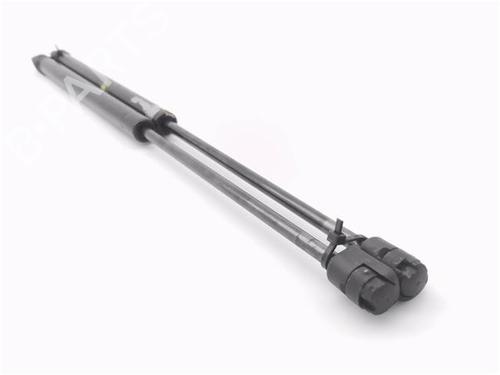 Tailgate lift support VW POLO IV (9N_, 9A_)  | BP29063109C138 