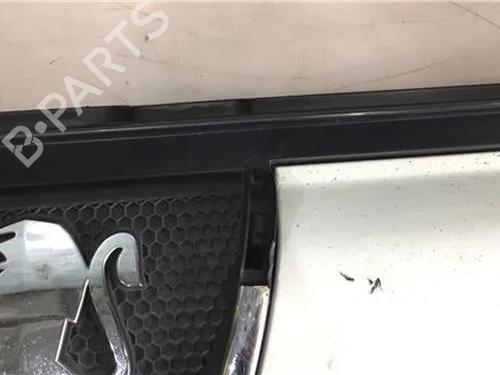 Grille PEUGEOT BOXER Van (244)  | BP9683645C40 