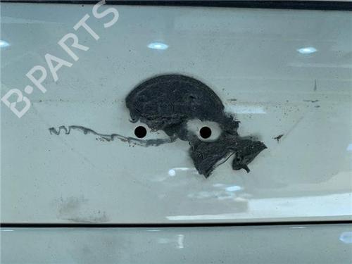 Tailgate MINI MINI (R50, R53) Cooper S | BP29355506C6 
