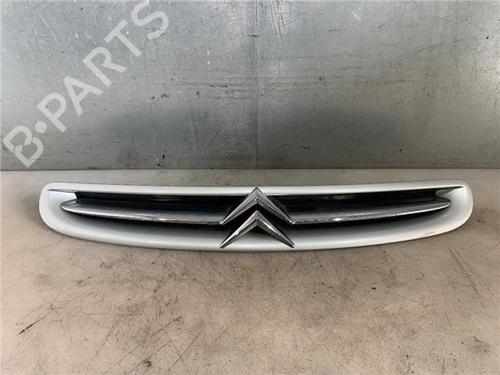 Gitter für CITROËN XSARA PICASSO (N68) 2.0 HDi (90 hp) 29755027