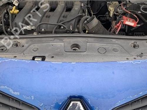 Køler RENAULT MEGANE II (BM0/1_, CM0/1_) [2001-2012]  24415973