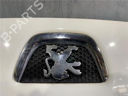 Hood PEUGEOT BIPPER (AA_) 1.4 HDi | BP23408662C1 