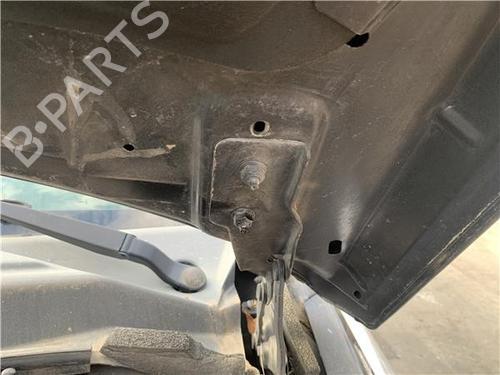 Hinge/Door check strap JEEP COMPASS (MK49) 2.0 CRD | BP32417964C146 