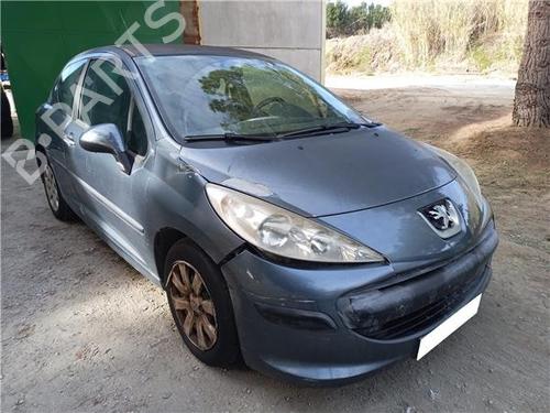 Glove box PEUGEOT 207 (WA_, WC_) | BP31206896C95