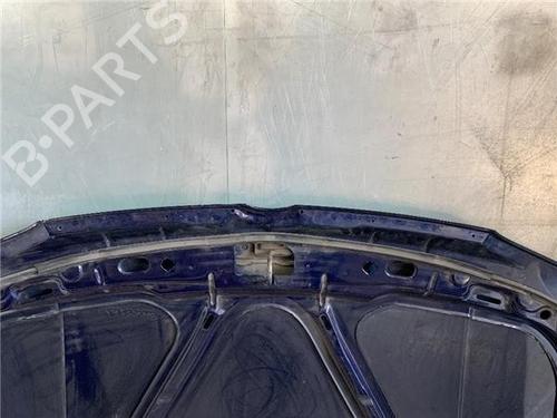Hood VW GOLF IV (1J1)  | BP22132675C1 