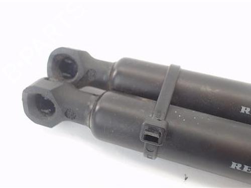 Tailgate lift support DACIA SANDERO II 1.0 SCe 75 (B8JC, B8JD, B8NC) | BP29251113C138 