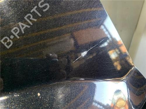 Left front fenders FORD FUSION (JU_) 1.6 TDCi | BP29284992C41 