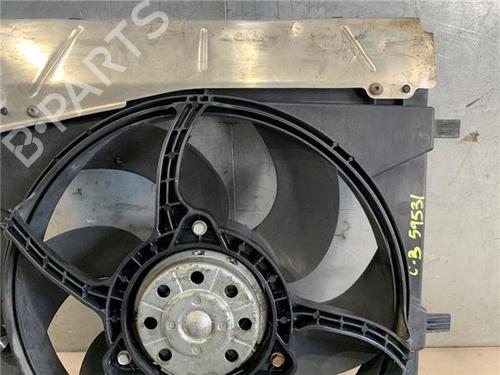 Radiator fan CITROËN C3 I (FC_, FN_)  | BP21359703M35 