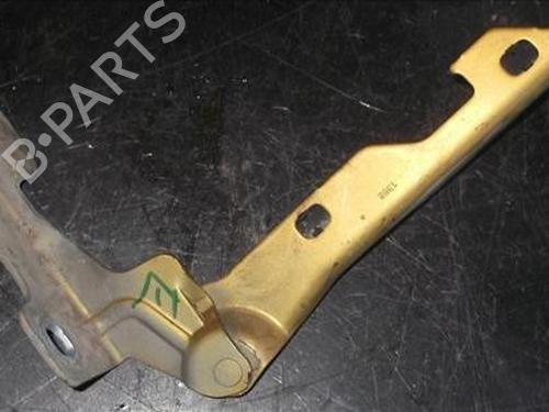 Hinge/Door check strap RENAULT CLIO II (BB_, CB_)  | BP14335962C146 
