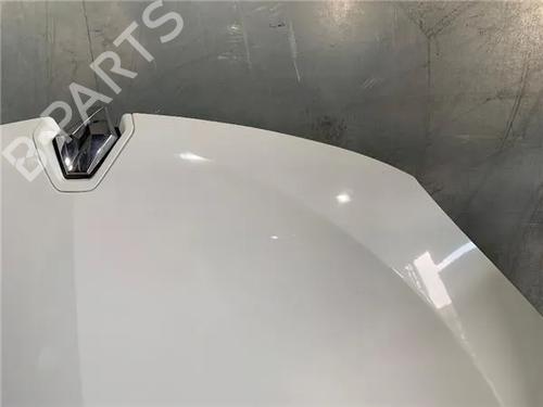 Hood RENAULT MEGANE III Hatchback (BZ0/1_, B3_)  | BP15552974C1 