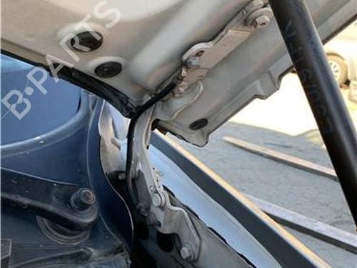 Hinge/Door check strap BMW 3 (E90) 330 d | BP32418669C146 