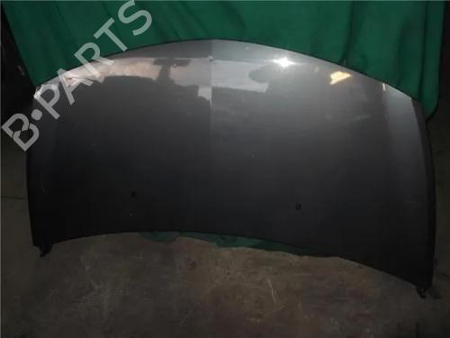 Used Hood RENAULT CLIO III (BR0/1, CR0/1) 1.5 dCi (C/BR0G, C/BR1G) (68 hp) 12120245