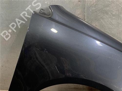 Right front fenders VW POLO (9N_, 9A_)  | BP18166487C42 