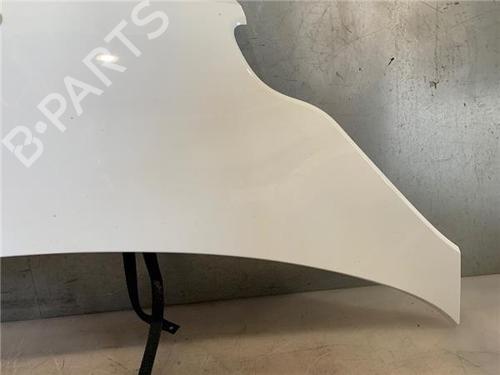 Hood SMART FORTWO Coupe (451)  | BP25007303C1 