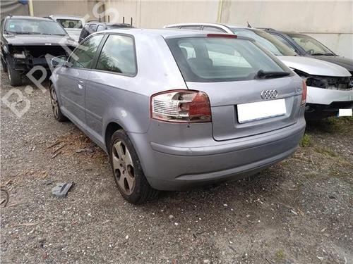 Interior roof light AUDI A3 (8P1) 2.0 TDI 16V | BP25010005I8 