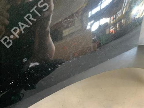 Left front fenders RENAULT GRAND SCÉNIC III (JZ0/1_) 1.5 dCi (JZ0B, JZ07) | BP29134658C41 