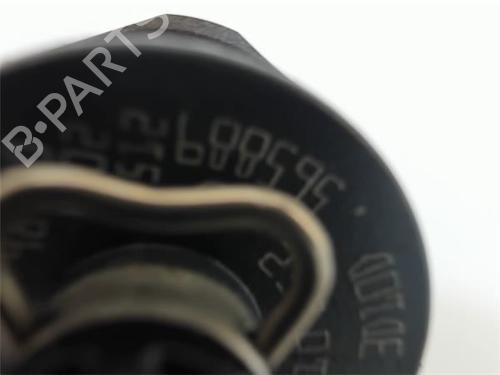 Injector PEUGEOT 206+ (2L_, 2M_) 1.4 HDi eco 70 | BP10352899M100 