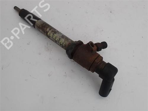 Injector LAND ROVER RANGE ROVER SPORT I (L320) 2.7 D 4x4 | BP16538673M100 